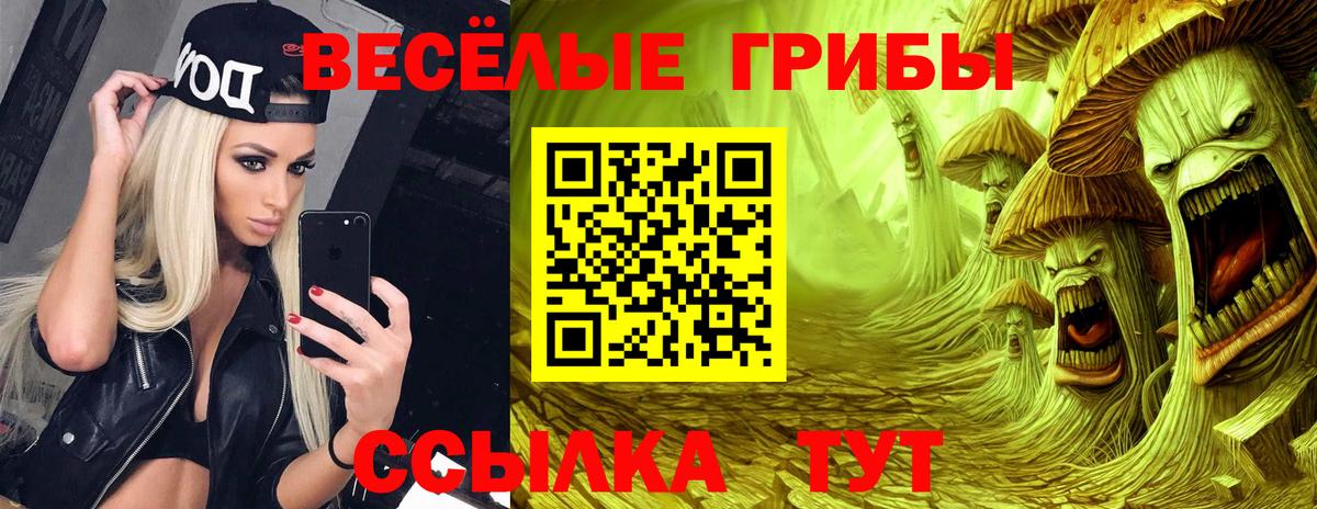 Псилоцибиновые грибы Psilocybe  Вход с VPN  Галлюциногенные грибы ЛСД  Мичуринск 
